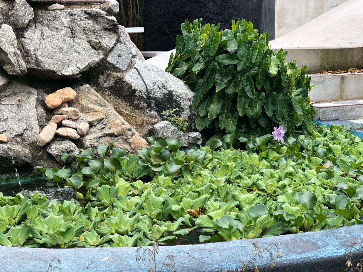 Pousada Tubarao Porto Seguro Ngoại thất bức ảnh